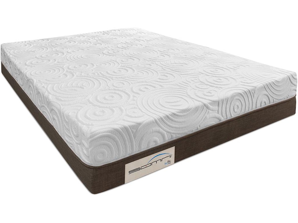 Blu Sleep Products AlexiaTwin XL Foam Mattress