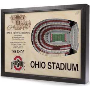 Stadiumviews Wall Art Ohio State Buckeyes Stadiumview 3d Wall Art