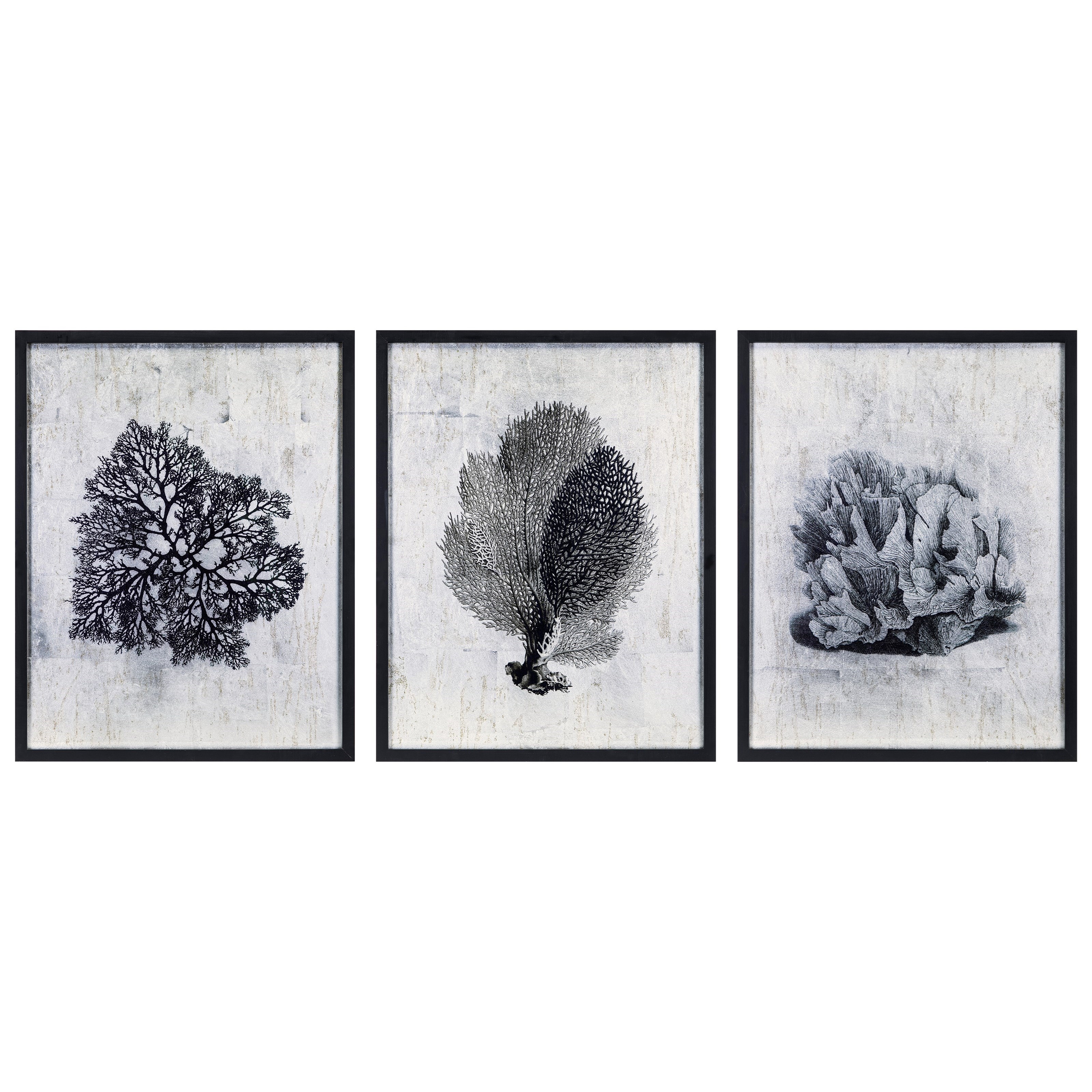 Imax Worldwide Home Wall Art A0319211 Martinique Coral Wall Decor