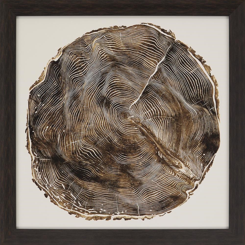 Paragon Wall Art Timber Ii Framed Art Wayside Furniture Prints