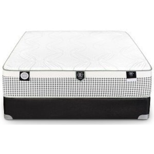 Restonic Cc Apollo Plush Full 14 1 2 Plush Mattress And Comfort