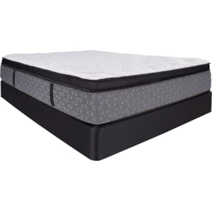 Restonic Cc Buckingham Latex Bt Plush Queen 15 Box Top Plush Hybrid Mattress And Comfort Care Foundation Wilcox Furniture Mattress And Box Spring Sets