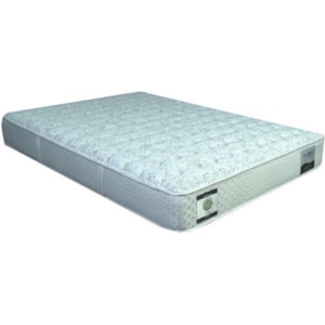 Restonic Cc Linwood Plush 13plush Txl Twin Extra Long 13 Two