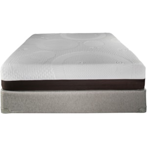 Restonic Health Rest Amsterdam 10memfoam F Boxf Full 10 Firm Gel Memory Foam Mattress And Healthrest Foundation Hudson S Furniture Mattress And Box Spring Sets