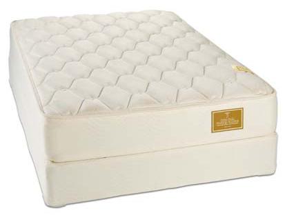 Queen Mattresses In Tampa St Petersburg Orlando Ormond Beach Sarasota Florida Hudson S Furniture Result Page 13