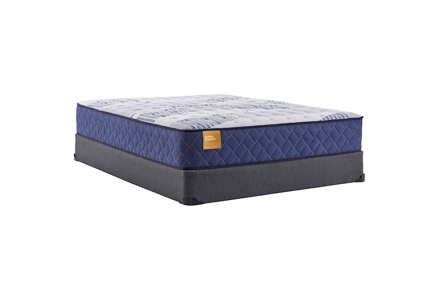 Sealy Banstead Cushion Firm Queen 12 1/2" Cushion Firm Tight Top Mattress  and Standard Base 9" Height | Turk Furniture | Mattress and Box Spring Sets