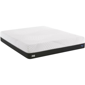 Sealy Fondness Full 11 Cushion Firm Gel Memory Foam Mattress Morris Home Mattresses