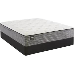 Sealy Deaton Fx Fx Plush Pt King Plush Faux Pillow Top Innerspring Mattress And Stablesupport Foundation Sprintz Furniture Mattress And Box Spring Sets