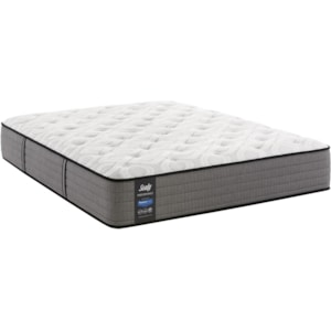 Sealy Misha Queen 12 1 2 Cushion Firm Pocketed Coil Mattress Darvin Furniture Mattresses