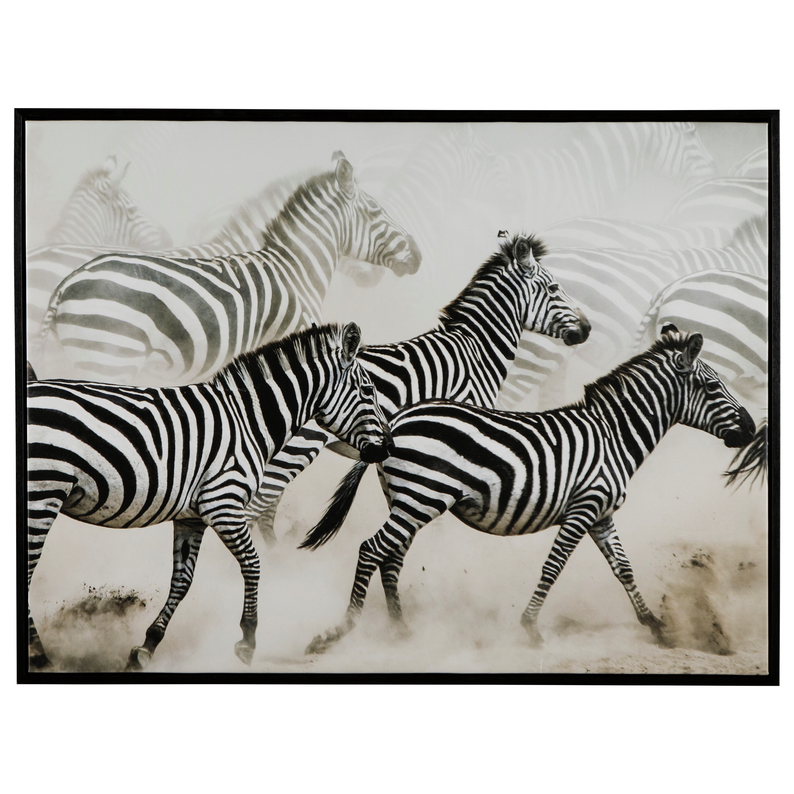Vendor 3 Wall Art A8000107 Breeda Black White Zebra Wall Art