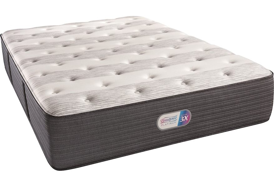 Beautyrest Foxdale Valley Plush King 14 1 2 Plush Coil On Coil