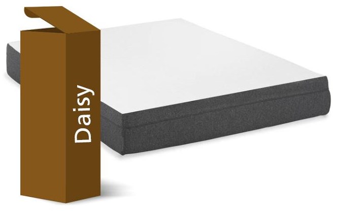 South Bay International Daisy Twin Firm Mattress In A Box Abode