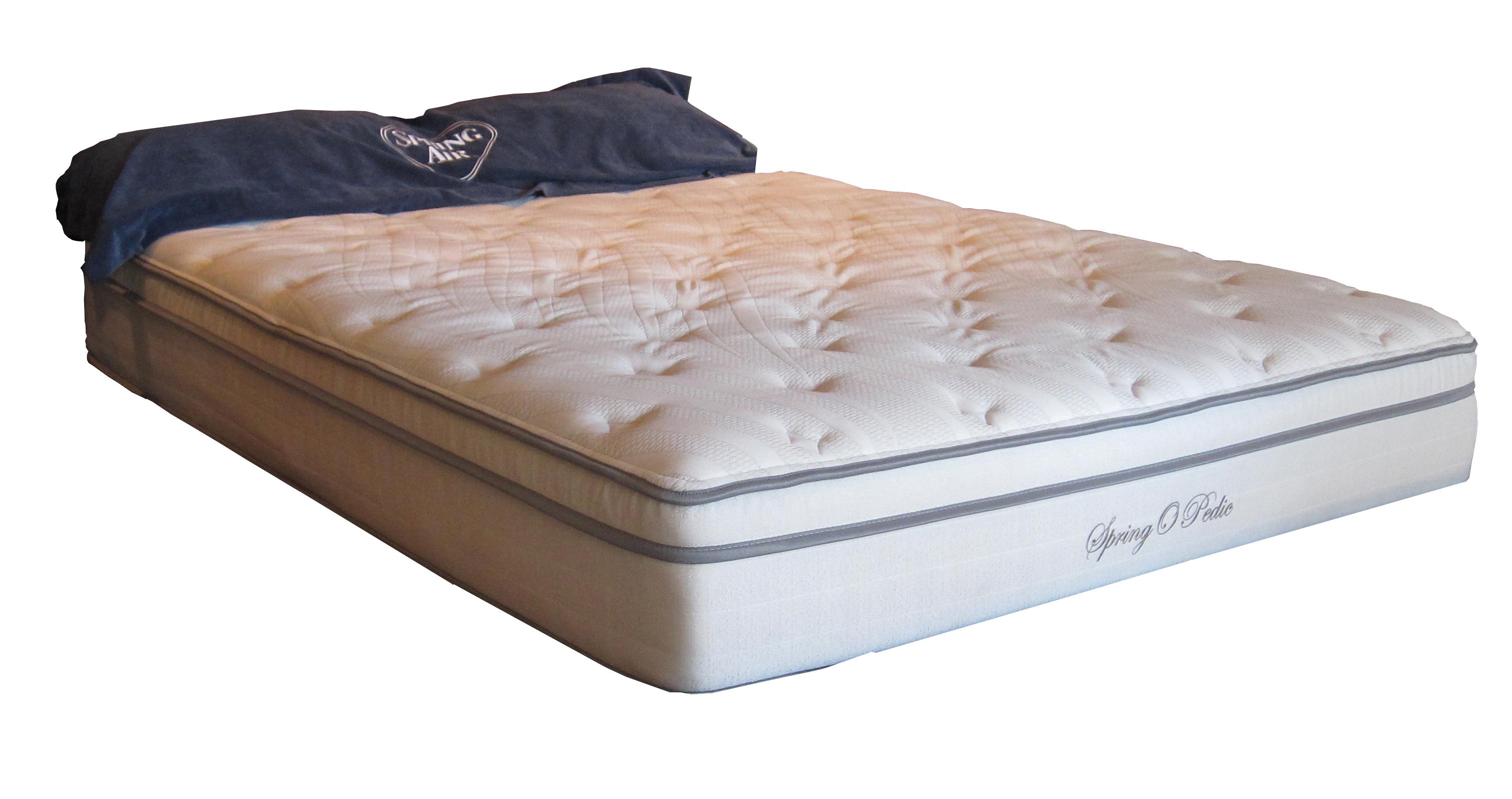 Spring Air Spring O Pedic Sophia Twin Plush Mattress Wilcox