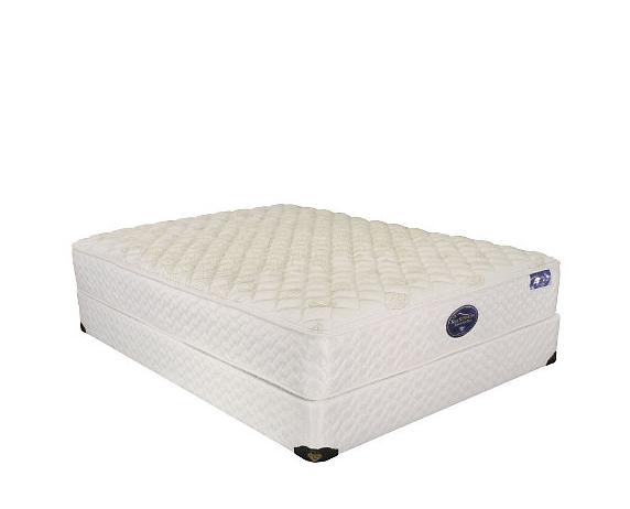Spring Air Back Supporter Pillow Top Mattress Wilcox Furniture