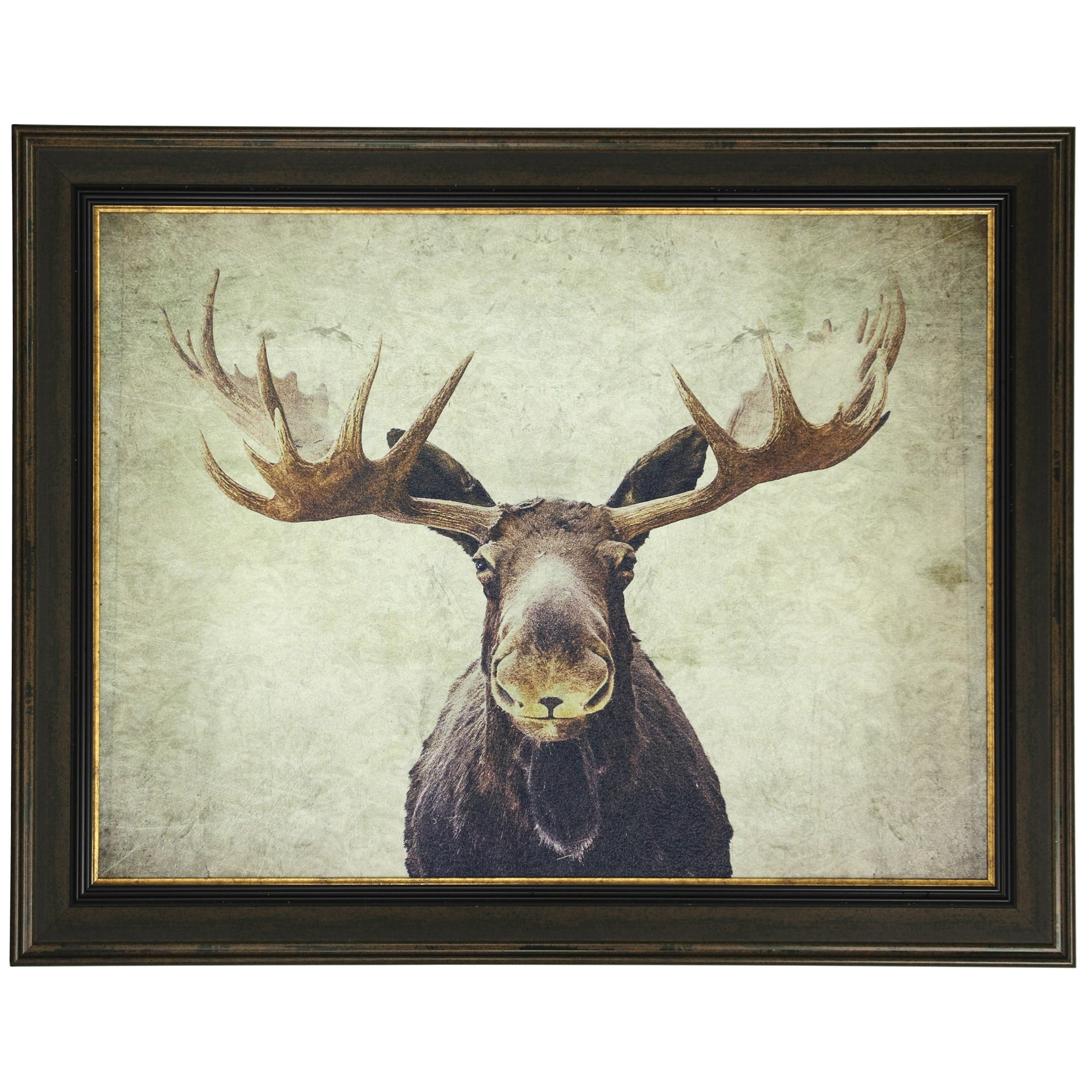 Moose Textured Print Custom Framed