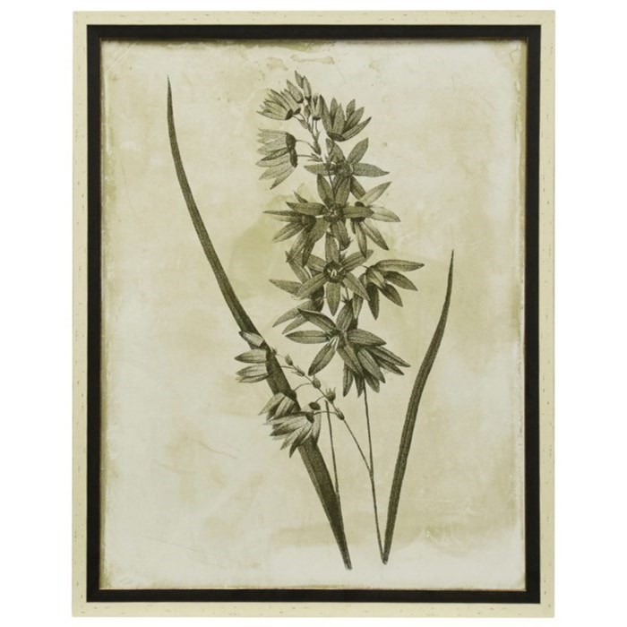 Floral Earthtone I Botanical Print
