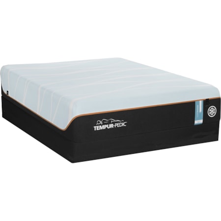 Mattress And Box Spring Sets In Delaware Maryland Virginia Delmarva Johnny Janosik Result Page 1