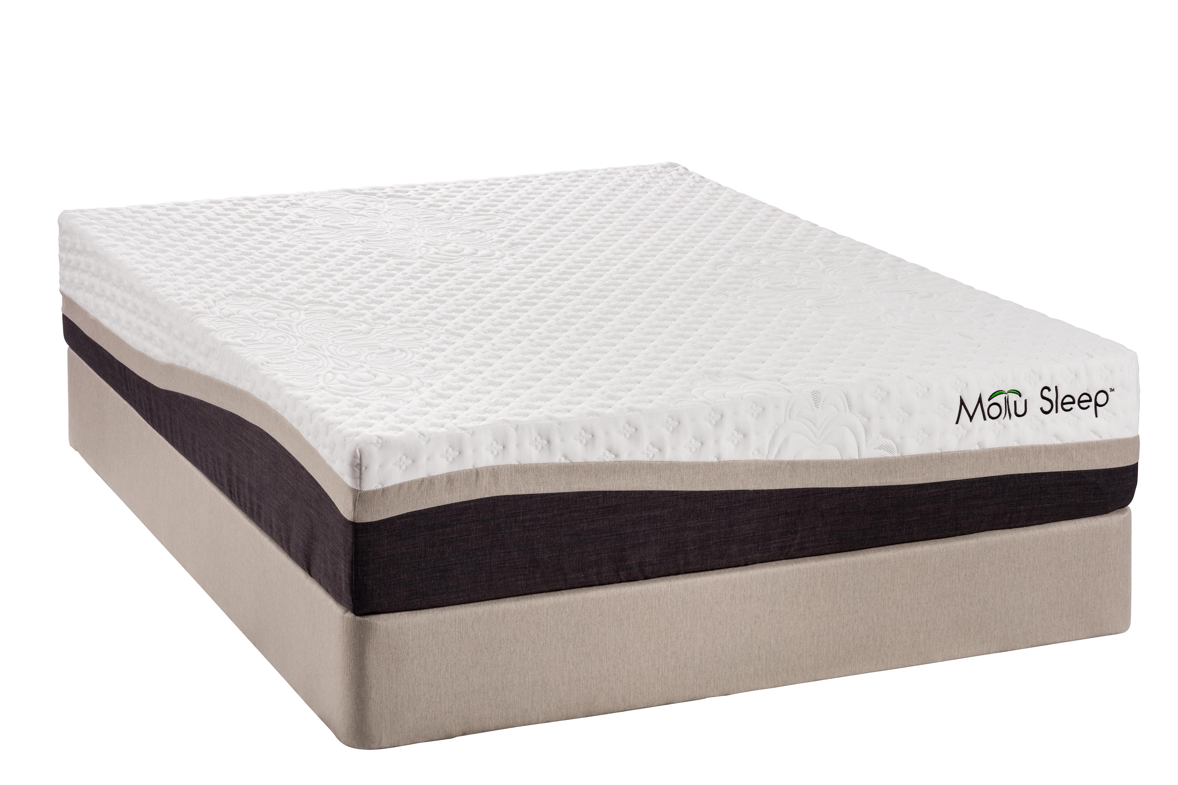 Therapedic Motu Fiji 10pmemoryfm Q Queen Plush Memory Foam