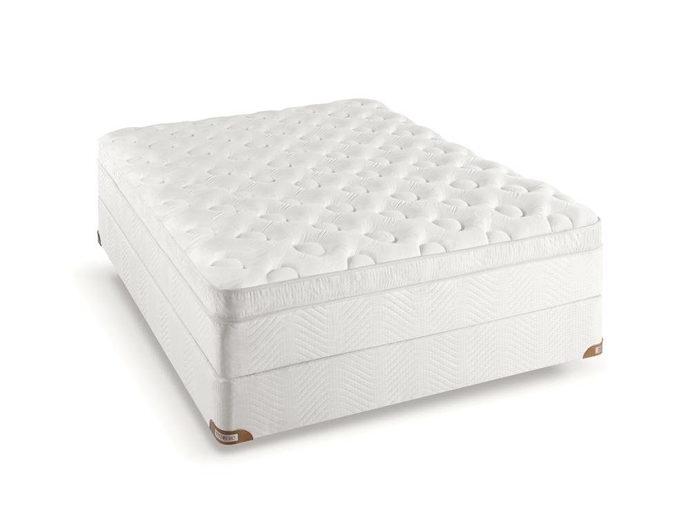 Upper Midwest Bedding Restonic Comfort Care Sophisticate Euro Top Mattress Rune S Furniture Mattress