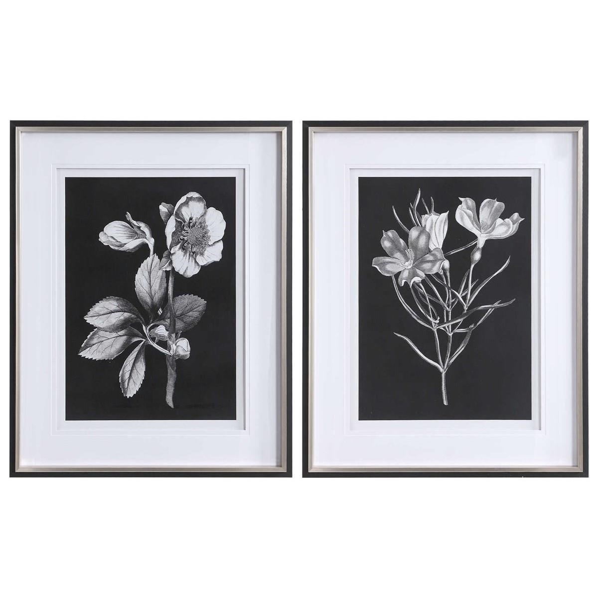 Uttermost Framed Prints Black White Flowers Framed Prints Set 2