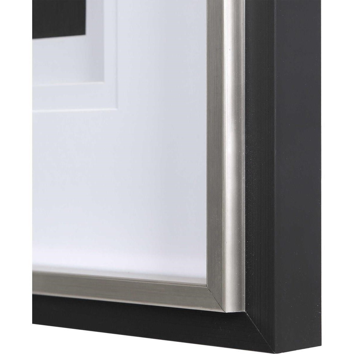 Uttermost Framed Prints Black White Flowers Framed Prints Set 2