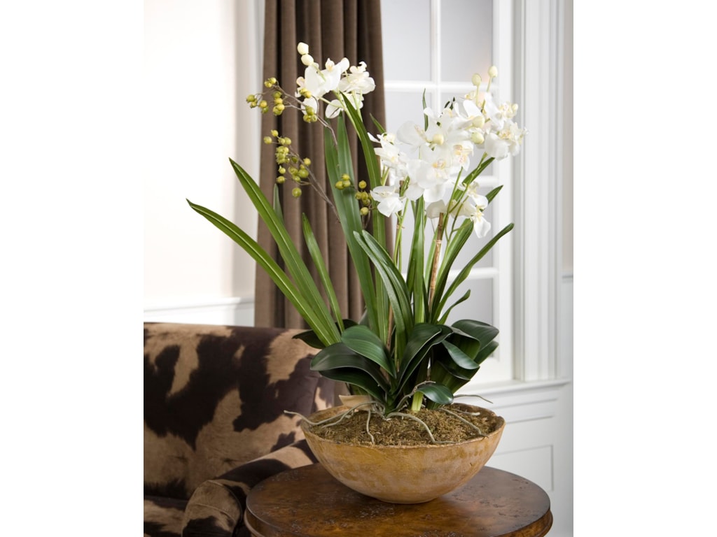 Uttermost BotanicalsMoth Orchid Planter