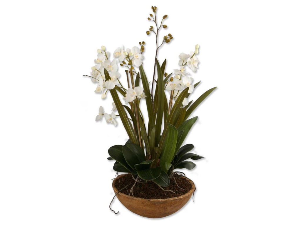 Uttermost BotanicalsMoth Orchid Planter