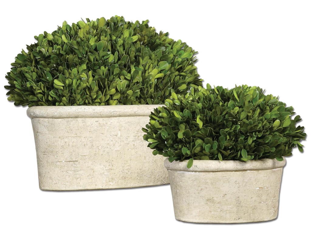 Uttermost BotanicalsPreserved Boxwood Oval Domes Set of 2