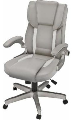 Z Line Designs Office Chairs Zl2860ecu Grey Executive Desk Chair