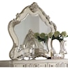 Acme Furniture Ragenardus Mirror