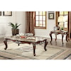 Acme Furniture Shalisa Coffee Table