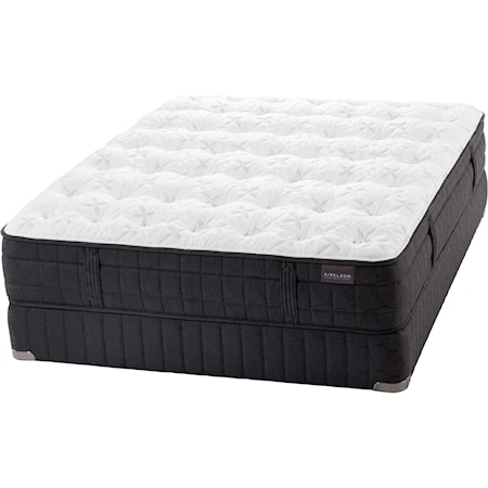 Queen Luxury Firm Latex Mattress