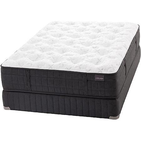 Queen Plush Latex Mattress Set, HP