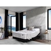 Aireloom Bedding Timeless Odyssey Luxetop Firm M2 Queen Luxury Firm Mattress Set