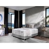 Aireloom Bedding Timeless Odyssey Luxetop Firm M2 Full Luxury Firm Mattress Set