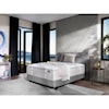 Aireloom Bedding Timeless Odyssey Luxetop Firm M2 Queen Luxury Firm Mattress