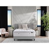 Aireloom Bedding Timeless Odyssey Luxetop Plush M2 Queen Plush Mattress Set