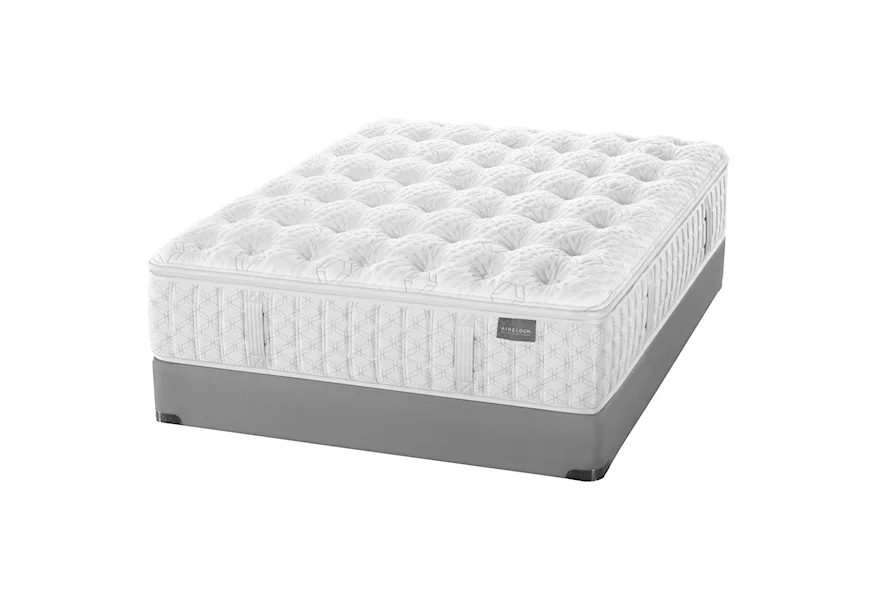 Timeless Odyssey Luxetop Plush M2 Aireloom Cal King Plush Mattress by Aireloom Bedding at Walker's Mattress