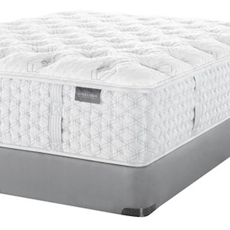 Queen Plush Mattress