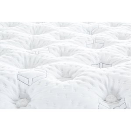 Queen Plush Mattress