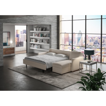 2 Pc Sectional w/ Queen Sleeper & Chaise