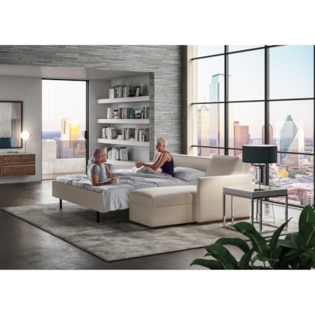 2 Pc Sectional w/ Queen Sleeper & Chaise