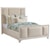 Barclay Butera Newport Crystal Cove Queen Size Upholstered Panel Bed in Ventura Ivory Fabric