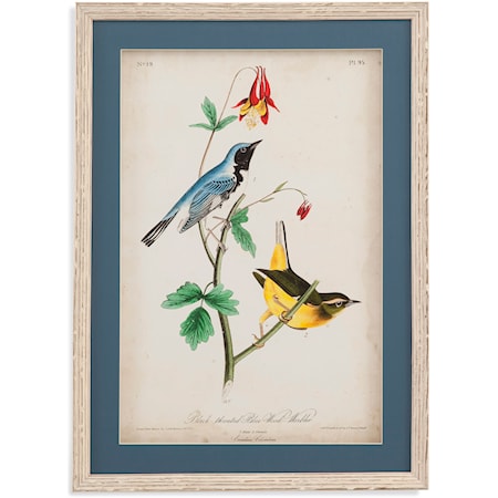 Blue Wood Warbler