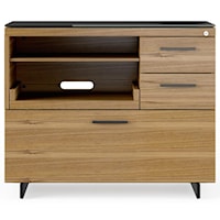 Multifunction Cabinet