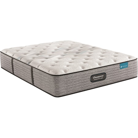 Twin Extra Long 13 3/4" Plush Pocketed Coil Mattress