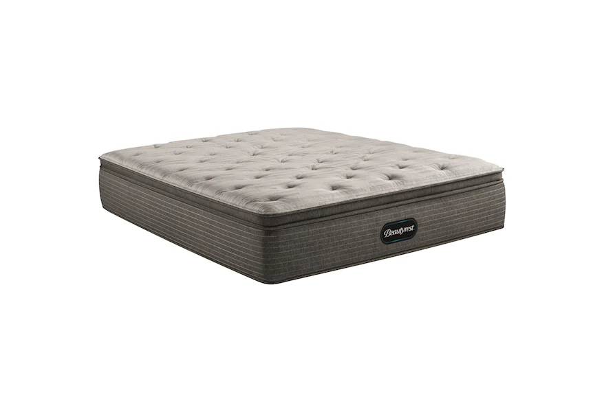 Select Plush PT Queen 14.25" Plush Pillow Top Mattress by Beautyrest at VanDrie Home Furnishings