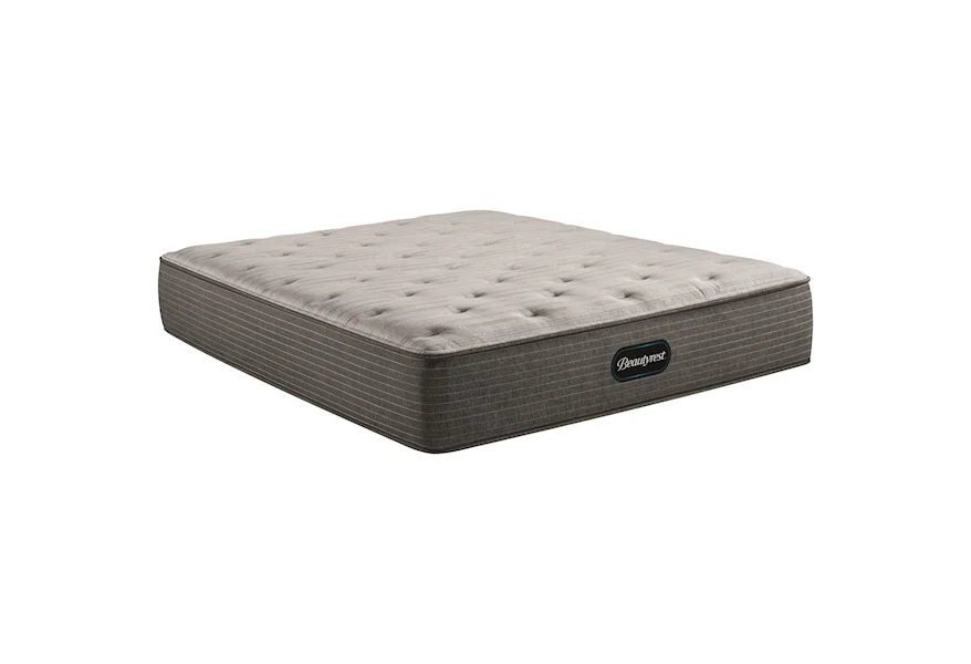 Select Plush TT Twin Plush Tight Top Mattress by Beautyrest at Morris Home