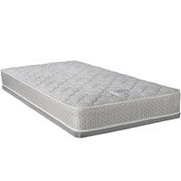 Twin Foam Mattress