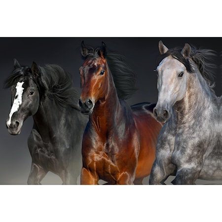 Three Horses - Canvas
